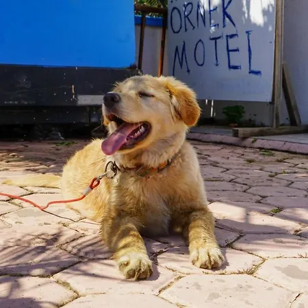 Oernek Hotel Gokceada